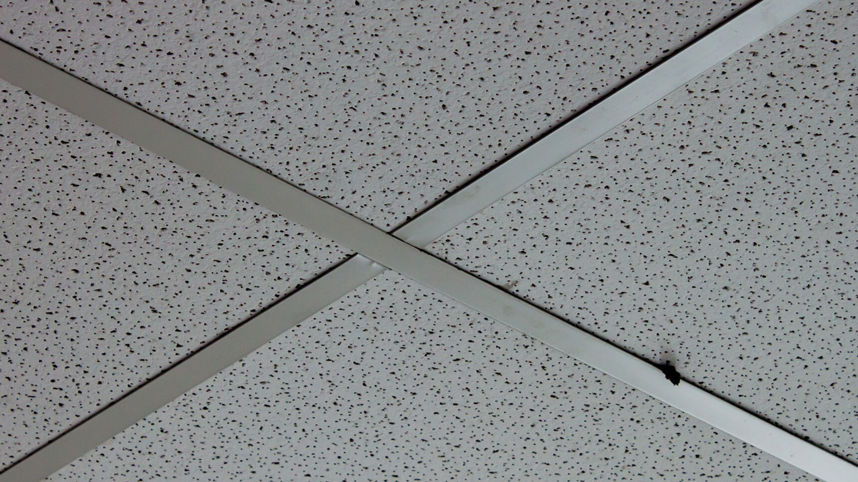 Suspended Ceilings